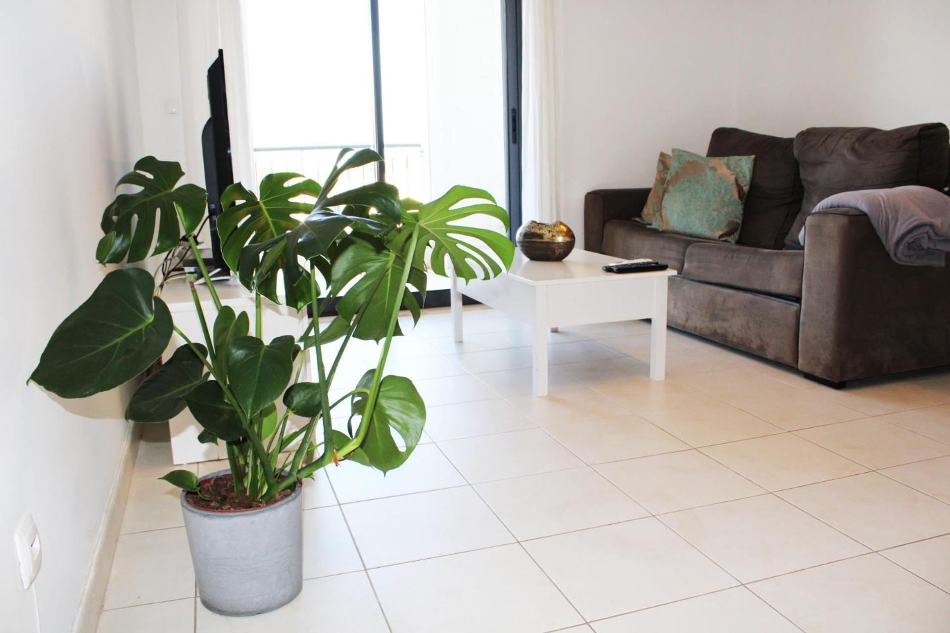 Apartment With Terrace Albufeira Olhos De Agua 외부 사진